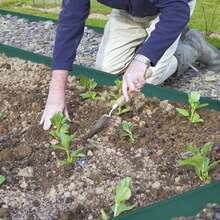 Flexible Plastic Lawn Edging, Flower Bed Edging, For Garden And Balcony - Green - 10m - View 5