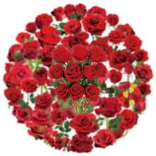 50 Pcs Transparent Red Rose Stickers - PET Waterproof For Wedding, Proposal & Gift Boxes, Phone Cases - 50PCS - View 5