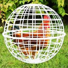 Ball Shaped Movable Chicken House Rollable Poultry Enclosure Round Hutch Plastic Chicken Rolling Cage For Chicks Rabbits Birds - Multicolor - View 10