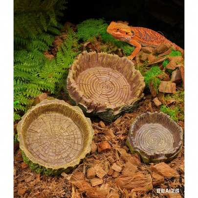 This Reptile Water And Food Bowl Features A Natural Bark-Like Design, Is Shallow And Round, And Is Made From High-Quality, Resin. It Is Sturdy , Preventing Tipping And Ensuring Long-Term Use. Versatile, It Is Suitable For Lizards, Snakes, Small Amphibians, Hermit Crabs, Spiders, Chameleons, Giant Salamanders, Geckos, Turtles, And Other Small Reptiles. Available In Multiple Sizes To Minimize Food Waste.