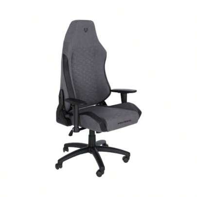 Silla Gamer Thunder Neat Ergonómica/Ajustable 180° + Soporte hasta 120 kg + Clase 3 + Reposabrazos 2D/ Nylon/Gris