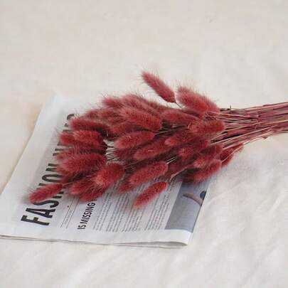 60/120/180/240Pcs Dried Natural Flowers Decoration, Natural Dried Rabbit Tail Grass Flowers, Dried Pampas Grass, Used For Home Decor, Wedding Decor, Party Decor, DIY Craft, Shooting Props, Theme Decoration, 17.7inch