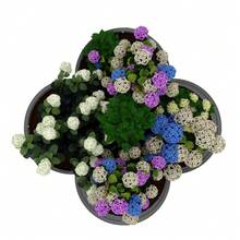 2-Pack Galvanized Steel Raised Garden Beds, 48''x 48''x 12'' Outdoor Planter Boxes, Open-Base Design for Vegetables & Flowers, Easy Assembly Patio & Lawn Gardening Kit, Green - Verde - Ver 7