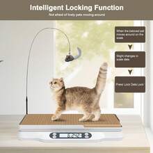 Baby Scale - Multicolore - Voir 3