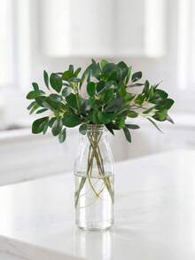 Multicolored Banyan Leaves