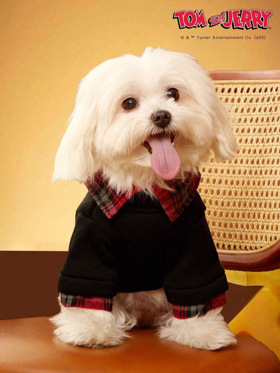TOM & JERRY X PETSIN 1PC Pet Sweaters In Black - Black - View 1