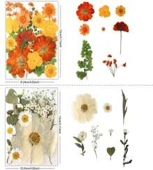 Buzidao 80Pcs Pressed Flowers, Dried Flowers Natural Pressed Flowers Bulk For Resin Molds, Nail Art, Scrapbooking, Candle Holder, Jewelry Making, Real Dried Pressed Flowers DIY Crafts Supplies Kit - ColorB - 查看 2