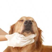 6pcs/10pcs Pet Disposable Wet Wipes, No-Rinse Cleaning Wipes For Cats, Dogs And Other Pets - Multicolor - View 5