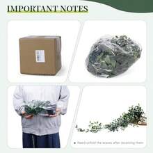 Fake VinesArticial Anging Plan  Self Fake Potted Greenery 1-Pack F Mandala Nes In Black Pot Décor  Office Ling Room Batroom Indoor Outdoor - 1pack Mandala Vines - 查看 7