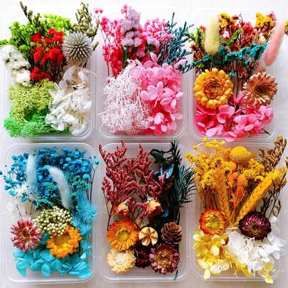 什锦干花盒，颜色和种类混搭，适用于树脂艺术、真花压制、环氧树脂首饰制作、DIY工艺套装、花卉装饰、礼品制作