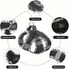DH007 舒适贴合防拉扯犬用胸背带和牵引绳套装 - 透气涤纶材质，仅限手洗 - 适合小型至中型犬 - 彩色 - 查看 5