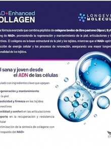 Collagen NAD+ Enhanced - Peptidos Bioactivos de Colageno Bovino Tipos I, II, III con Precursores Triples de NAD, NR + NMN + Nicotinato de Inositol - Sin Azúcar, Sin Edulcorantes, Sin Saborizantes - 500g by Eternal Nutrition - Ingredientes Naturales Premium - Morado - Ver 3