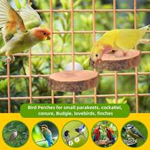Natural Round Wooden Bird Cage Stand, Suitable For Canaries, Parrotlets, Cockatiel, Parrots, Parrotlets, Sparrows And Other Birds - Multicolor - View 5