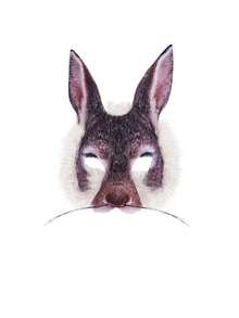 Easter Animal Masks - Rabbit, Owl, Fox, Cheetah Half Face Masks, Suitable For Easter, Halloween, Carnival, Costume Parties, Theme Parties, Cosplay Props - Multicolor - View 15