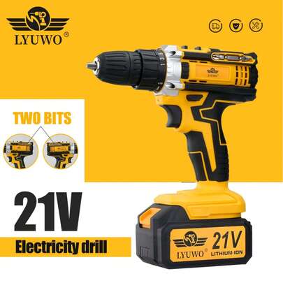 LYUWO 电动工具，锂电池电钻，双头钻，20V，2档可调速，4.0Ah 高容量电池，高扭矩，适用于家庭维修、户外作业等。