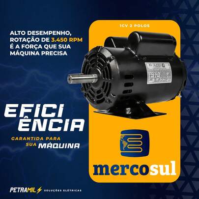 Motor Elétrico 1CV Profissional 2 Polos B3V 127/220V – Potente, Durável e Alta Velocidade (LN151261327)