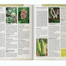 La guía olvidada de los remedios vegetales | Remedios herbales para tu familia | talla grande de 1,000 plantas y remedios - 1 pieza - Ver 4