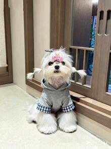 Pet Clothes Dog Cat Winter Warm Hooded Sweatshirt Dress Outfit For Small Dogs - Grey - View 4