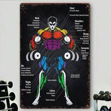 Muscle Anatomy Chart Artworkout Vintage Gym Tin Sign - Man Cave Tin Plaque & Bodybuilding Posters For Home Gym Decor, Retro Aluminum Fitness Metal Sign 8x12 Inches - 1PC - Xem 7
