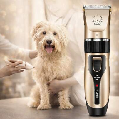 Kit Máquina De Tosa Pets Gato Cachorro Profissional Dourado 110V/220V