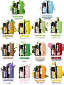 10ml 芳香療法精油 DIY 香氛石膏裝飾品 香氛蠟燭 手工皂 加濕器 花香精油 - 10ml-new - 查看 3