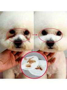 新款130片/套宠物眼耳湿巾 犬猫宠物清洁湿巾 美容泪痕去除剂 温和不刺激湿巾 - 紅白色 - 查看 3