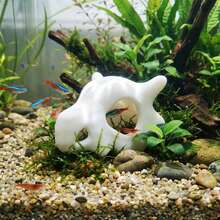 Hot Selling Skull Compatible With Aquarium,Reptile,Fish Tank,Arachnid New - B - View 2