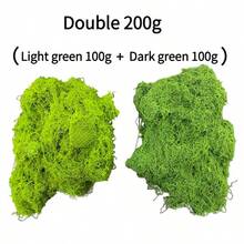 Dekorasi Lumut Buatan 30/50/100g - Cocok untuk Lanskap Mikro, Pajangan Jendela, Tata Letak Bangunan Adegan, Kerajinan Tangan DIY, Dekorasi Pernikahan, Rangkaian Bunga, dan Dekorasi Pengisi Meja. - MultiWarna - View 22