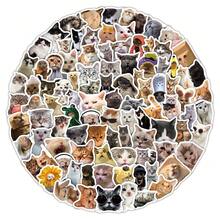 104 Pcs Funny Cat Stickers - Whimsical Feline Decals For DIY Journals, Phone Cases & Water Bottles - 104PCS - View 5