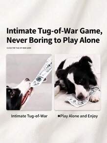 PETSIN 宠物猫狗磨牙玩具，耐用发声玩具，适合啃咬、磨牙，娱乐性强，猫狗通用 - 彩色 - 查看 3