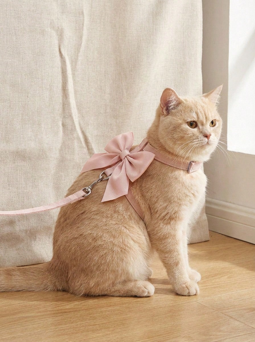 PETSIN 一套可爱猫咪胸背带和牵引绳,LANGXINGCS 狼爪设计,高级时尚防逃脱猫咪散步背心式胸背带,带蝴蝶结,柔软舒适,适合户外使用,适合小型/中型猫咪 - 彩色 - 查看 1