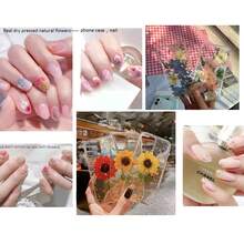 Colorful Dried Flower Wreath Epoxy Resin DIY Bouquet Wreath Candle Making Home Wedding Box Flower Decor / Colored Natural Dried Flower With Epoxy Resin Handmade Crafts - Random Color - View 5