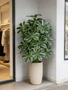 50-75cm große künstliche Palme, Fake Rattan Blatt, Kunststoff Strauchblatt, imitierter Rattan Bambuszweig, realistische Textur, geeignet für Heim- und Gartendekoration innen/außen, Valentinstag, Geburtstag, Abschlussfeier - Verschiedenfarbig - Übersicht 1