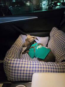 车载宠物床座椅 – 防滑、可水洗、四季通用旅行床垫，适用于小型/中型犬猫 - 彩色 - 查看 6