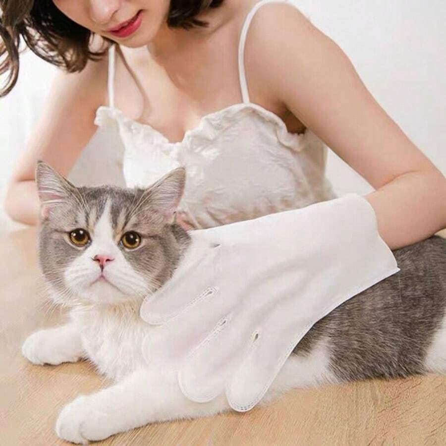 6pcs/10pcs Pet Disposable Wet Wipes, No-Rinse Cleaning Wipes For Cats, Dogs And Other Pets - Multicolor - View 1