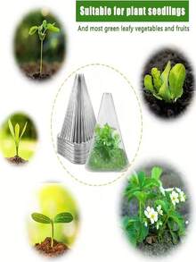 植物园植物罩套装，10件套植物罩，可重复使用的植物罩，保护植物免受鸟类、霜冻、蜗牛等侵害 - B - 查看 13
