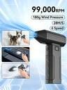 Car Electrical Appliances