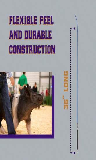 Weaver Livestock Basic Pig Show Whip With Chrome Tipped Handle, Hog Livestock Whip For Show Ring Competition, Leather Pig Whips For Showing