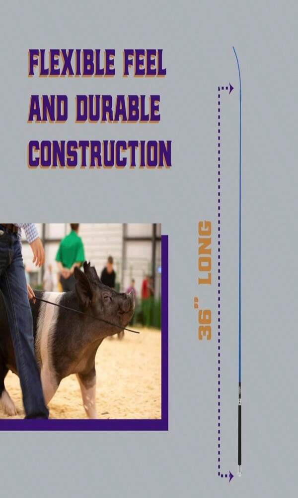 Weaver Livestock Basic Pig Show Whip With Chrome Tipped Handle, Hog Livestock Whip For Show Ring Competition, Leather Pig Whips For Showing