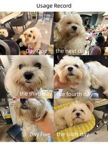 100毫升免洗泡沫，宠物口腔清洁，下巴清洁，脏胡须清洁——爱狗人士和狗妈妈都爱用，爱猫人士和猫妈妈也爱用，温和清洁，气味宜人，深层清洁，是送给爱猫爱狗人士和猫狗妈妈的理想礼物，包含可拆卸柔软硅胶套。 - 彩色 - 查看 8