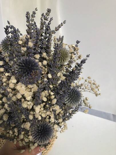 1 Bunch Pampas Grass For Halloween, Rustic Floral Bouquet, Natural Style Flower Bunch, Made Of Natural Plants, Suitable For Vase Arrangement, Wedding, Bridal Bouquet, Home & Office Decor, Anniversary, Birthday, Party, Tabletop Decoration