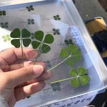 1张/3张/9张幸运四叶草书签 - 透明治愈系贺卡，含真四叶草茎，新年礼物，生日礼物，派对礼品 - 彩色 - 查看 4