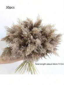 10/20 cành cỏ lau nhân tạo màu trắng để trang trí, bó cỏ lau giả mini 17,3 inch, cỏ lau hai màu, phong cách Boho, trang trí hoa phòng, lấp đầy bình hoa, trang trí vòng hoa, trang trí phòng ngủ, đám cưới Boho, trang trí cây cảnh, trang trí sàn nhà. - nâu sẫm - Xem 13