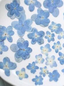 12朵蓝色重瓣绣球花，干花，材料，相框，书签，蜡烛，压花植物，手工胶水粘贴式DIY装饰品 - 12件 - 查看 8