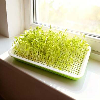 2pcs Hydroponic Seed Sprouting Tray Set, Includes Plastic Seedling Tray With Drainage Holes, Cover And Grid Tray, Suitable For Peas, Beans, Wheat, Vegetables, Herbs, Ideal For Urban Farming, Balcony, Windowsill Gardening