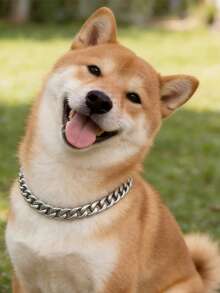 Collar de perro de acero inoxidable resistente a mordeduras - Plateado - Ver 1