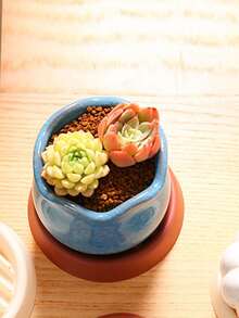 2pcs Thickened Drainage Tray Flower Pot Bottom Mat, Breathable Anti-Rot Pad For Potted Plants And Succulents - Multicolor - View 4