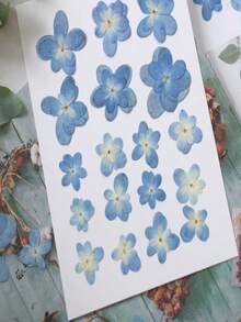 12朵蓝色重瓣绣球花，干花，材料，相框，书签，蜡烛，压花植物，手工胶水粘贴式DIY装饰品 - 12件 - 查看 4