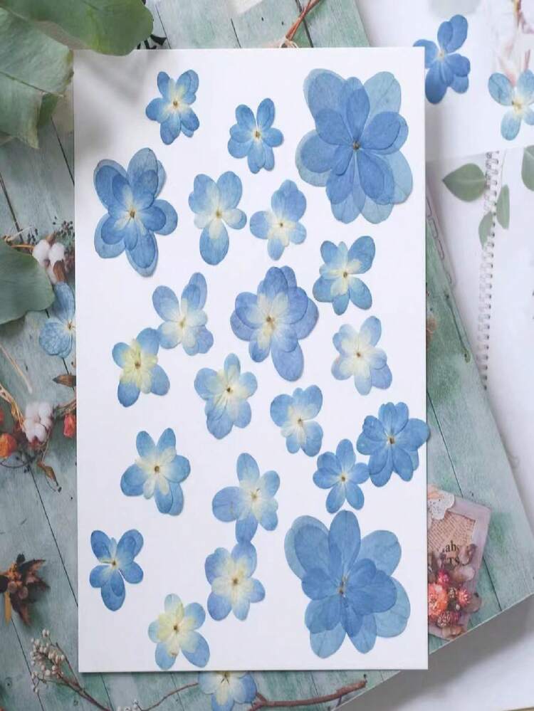 12朵蓝色重瓣绣球花，干花，材料，相框，书签，蜡烛，压花植物，手工胶水粘贴式DIY装饰品 - 12件 - 查看 5