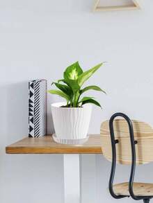 苗圃种植箱 - 漣漪花盆 - 查看 6